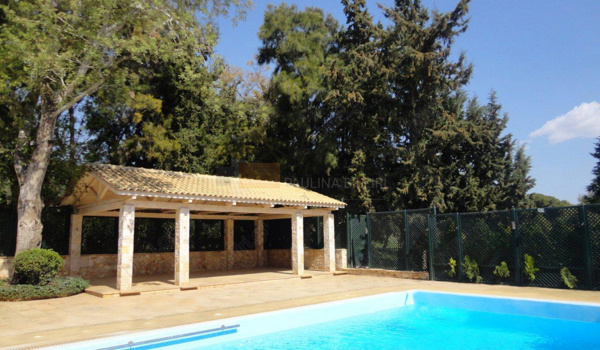 Πισίνα - Swimming pool
